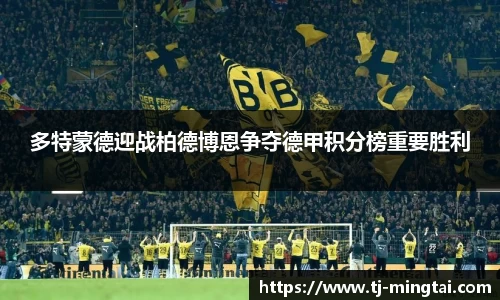 多特蒙德迎战柏德博恩争夺德甲积分榜重要胜利