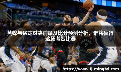 黄蜂与猛龙对决前瞻及比分预测分析，谁将赢得这场激烈比赛